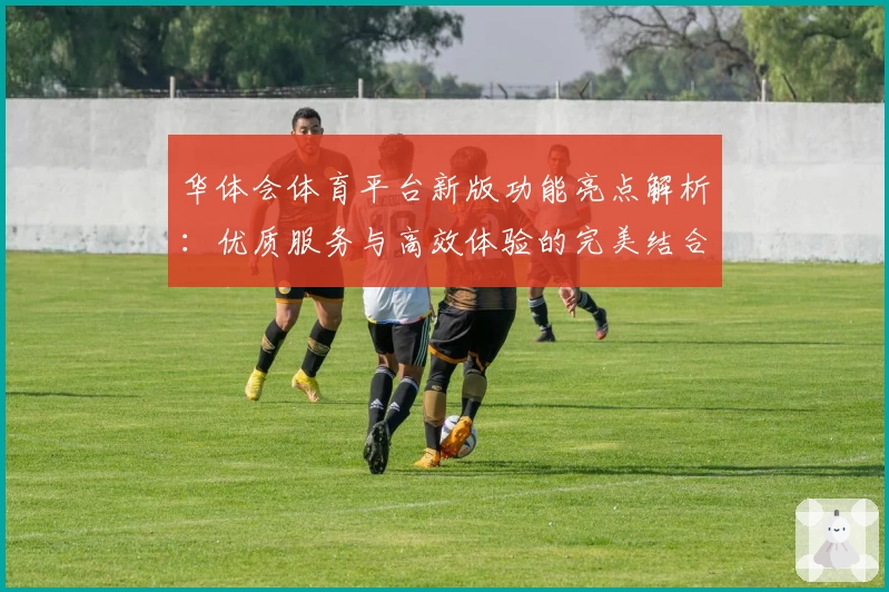 华体会体育平台新版功能亮点解析：优质服务与高效体验的完美结合